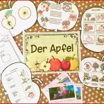 Die Froschklasse Der Apfel