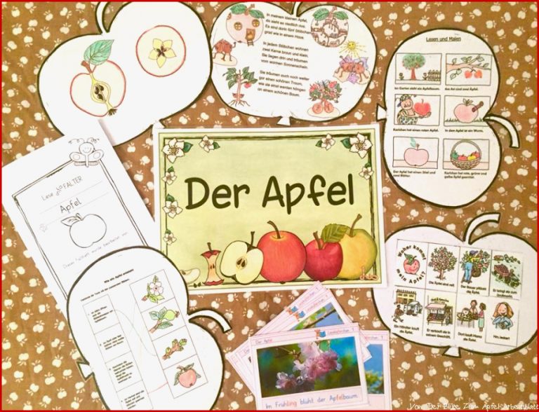 Die Froschklasse Der Apfel