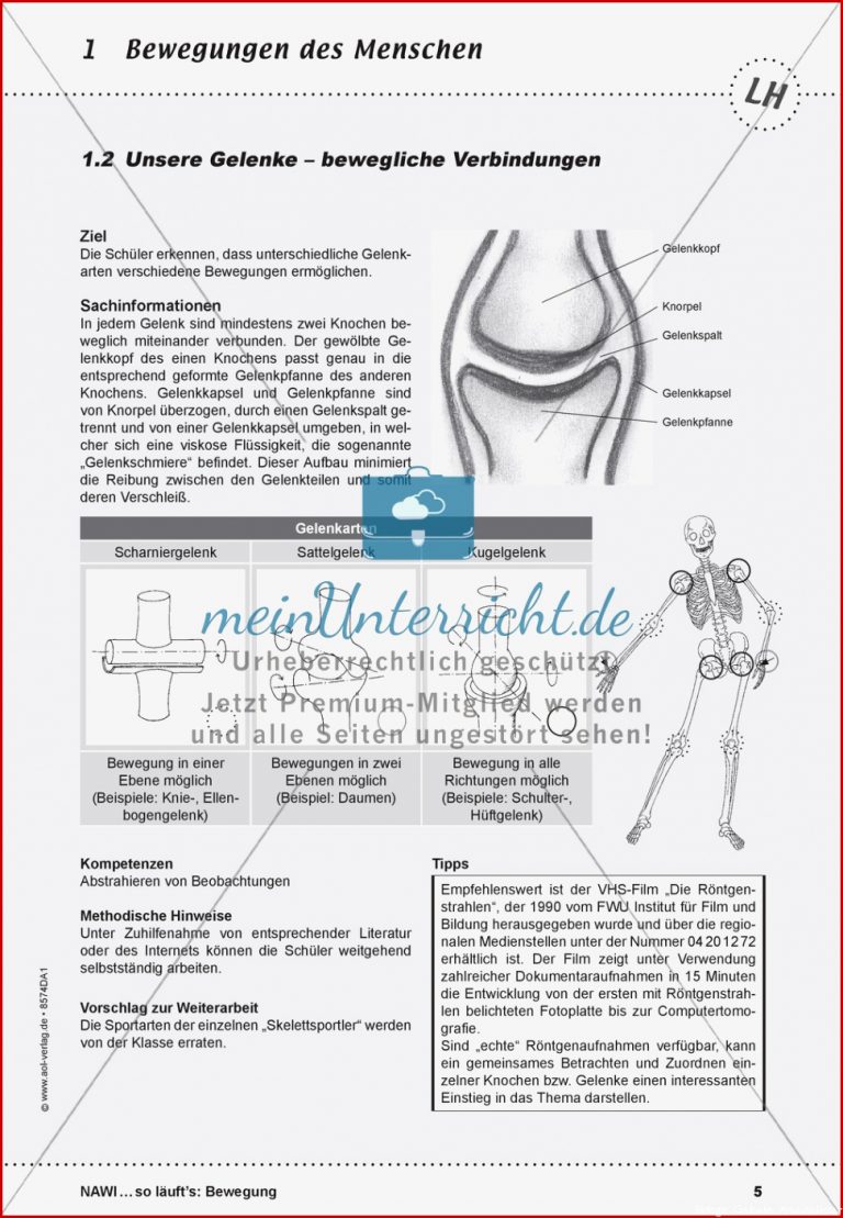 Die Gelenke Lehrerübersicht Und Schülerarbeitsbogen