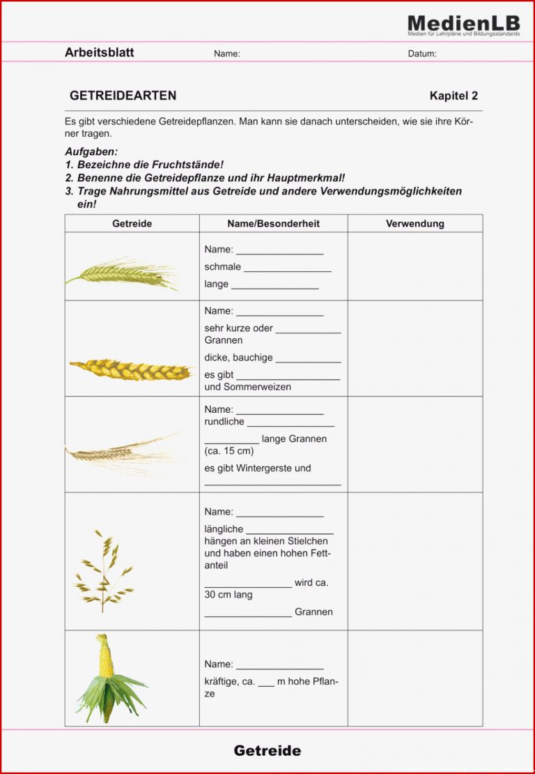 Die Getreidepflanze – Unterrichtsmaterial im Fach