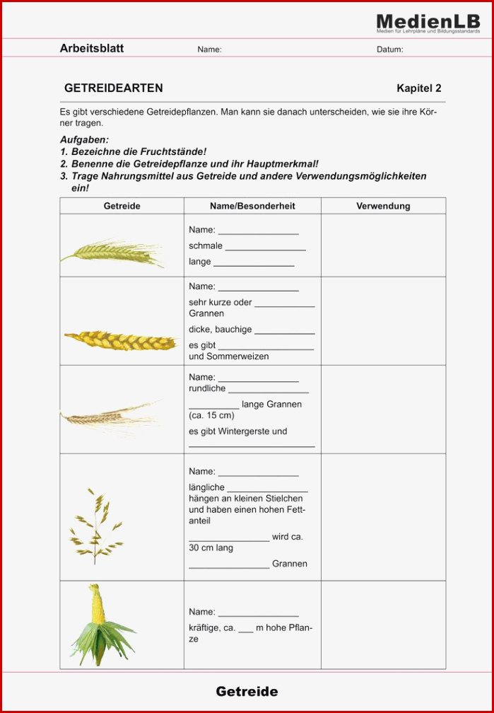 Die Getreidepflanze – Unterrichtsmaterial Im Fach