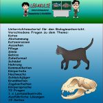 Die Katze Arbeitsblatt Information Online