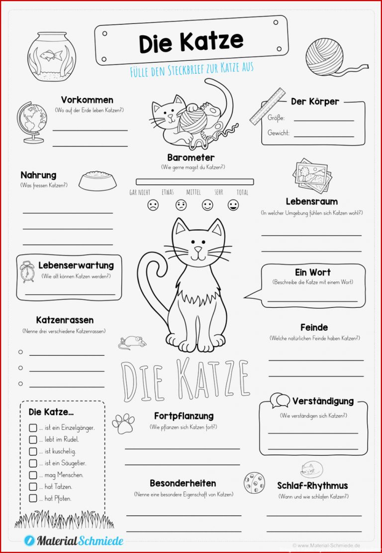 Die Katze Arbeitsblatt Information Online