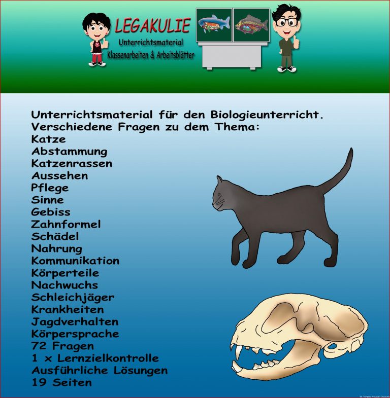 Die Katze Arbeitsblatt Information Online