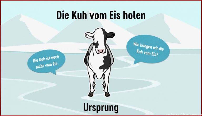 Die Kuh vom Eis holen