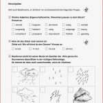 Die Moldau Grundschule Arbeitsblätter Kostenlos Worksheets