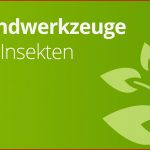 Die Mundwerkzeuge Von Insekten Biologie