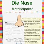 Die Nase Materialsammlung – Unterrichtsmaterial Im Fach