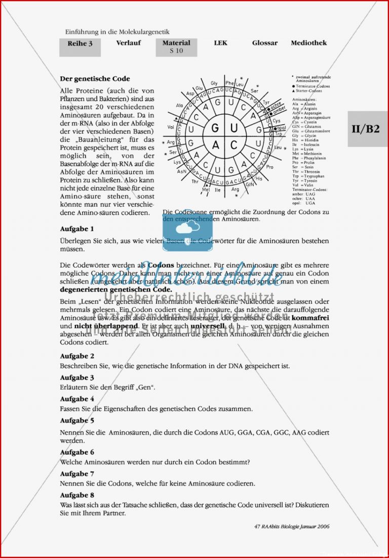 Die Proteinbiosynthese Rna Genetischer Code