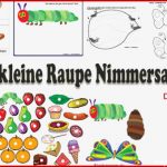 Die Raupe Nimmersatt Ideen Und Spiele Für Kindergarten