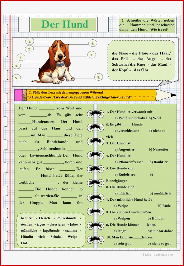 Die Tiere Der Hund Arbeitsblatt Kostenlose Daf