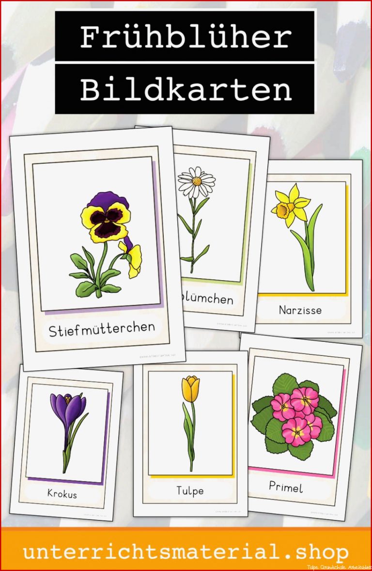 Die Tulpe Arbeitsblatt Mark Clifford Schule Kostenlos als Download Die Tulpe Arbeitsblatt Mark Clifford Schule