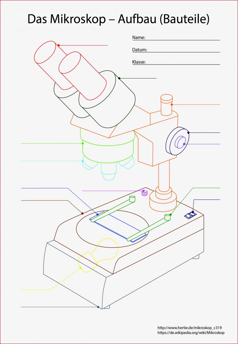 Die Version für Schüler Das Mikroskop ein Gerät das
