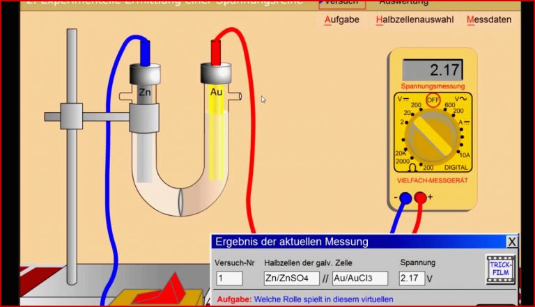 Die zelle aufbau und funktion