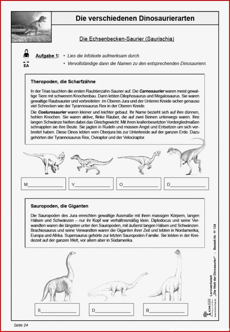 Dinosaurier Grundschule Arbeitsblätter Kinderbilder