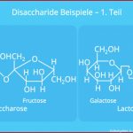 Disaccharide â¢ Bildung, Beispiele Â· [mit Video]