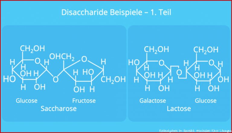 Disaccharide â¢ Bildung, Beispiele Â· [mit Video]