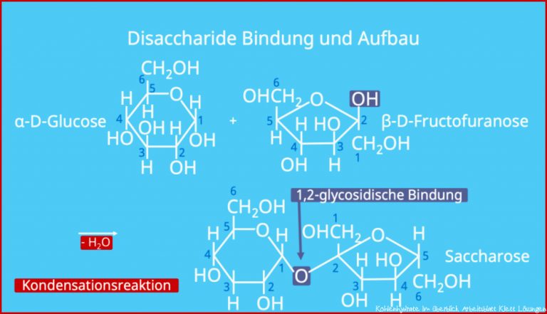 Disaccharide â¢ Bildung, Beispiele Â· [mit Video]