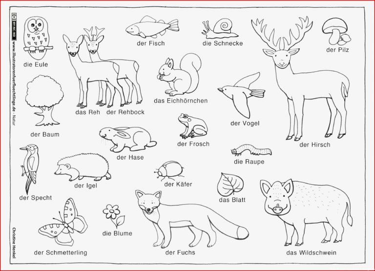 Download als PDF Natur – Wald Tiere Pflanzen – Henkel