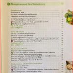 Duden Schulbuchverlag Biologie Gesamtband Klasse 7 10 Nrw