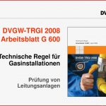 Dvgw Arbeitsblatt G 600 Pdf