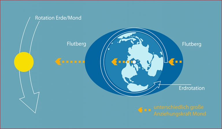 Ebbe und Flut Die Gezeiten des Wattenmeeres