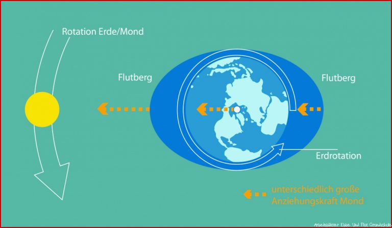 Ebbe Und Flut Die Gezeiten Des Wattenmeeres