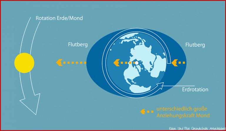 Ebbe und Flut Die Gezeiten des Wattenmeeres