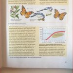 Ebene Der Biologischen organisation Systemebenen