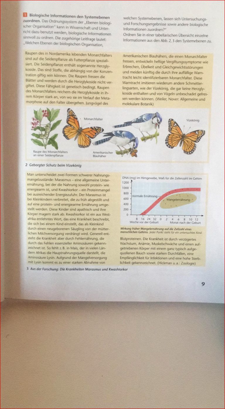 Ebene Der Biologischen organisation Systemebenen