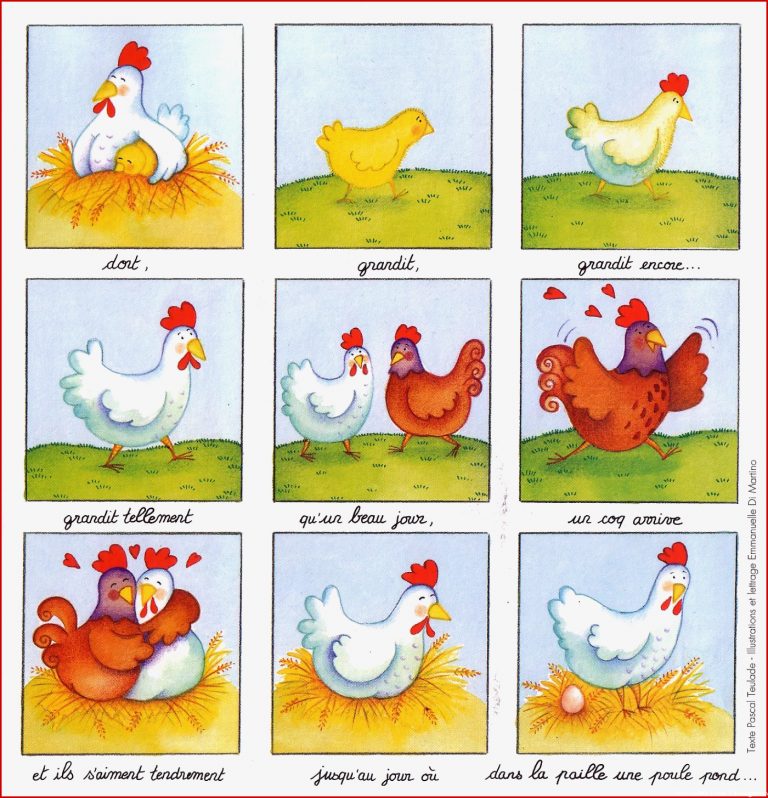 Ei zum Huhn 2 Pasen Boerderij thema en Kip