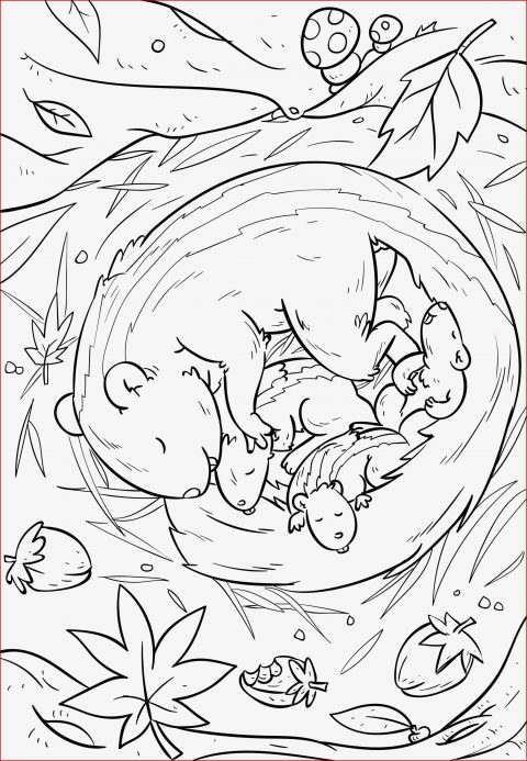 Eichhörnchen Mandalas Ausdrucken Malvorlagen - Kostenlose