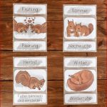 Eichhörnchen Tafelmaterial Bild Und Wortkarten