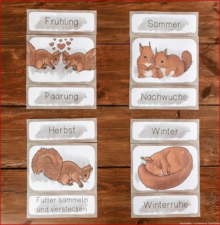 Eichhörnchen Tafelmaterial Bild Und Wortkarten