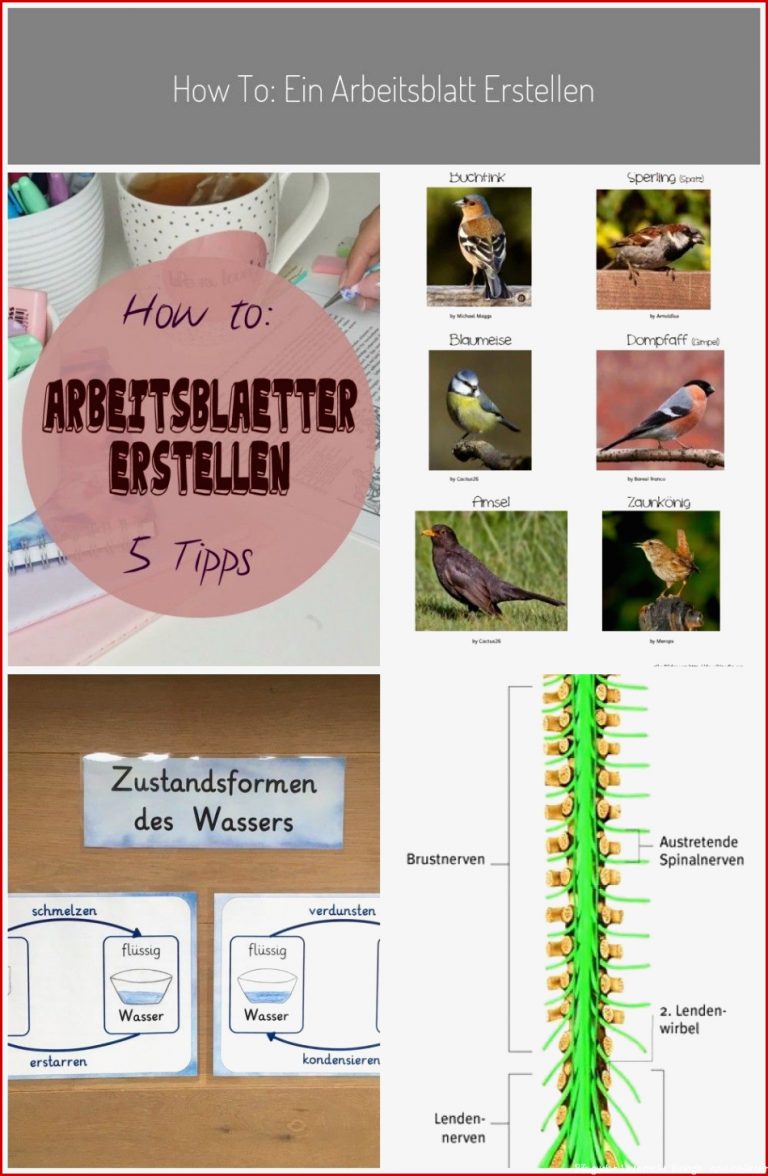 Ein Arbeitsblatt erstellen für den Unterricht Wie geht