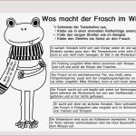 Ein Winterfrosch Im Sachunterricht Mit Einem Schal Voller