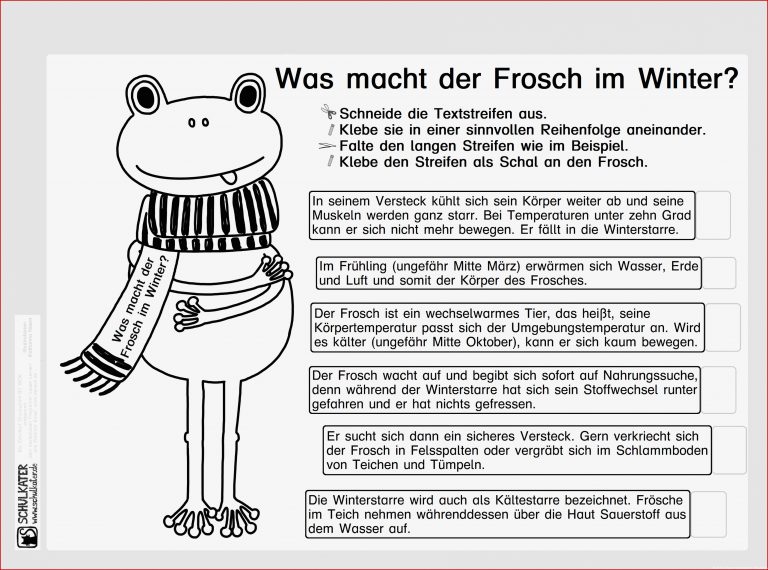 Ein Winterfrosch Im Sachunterricht Mit Einem Schal Voller