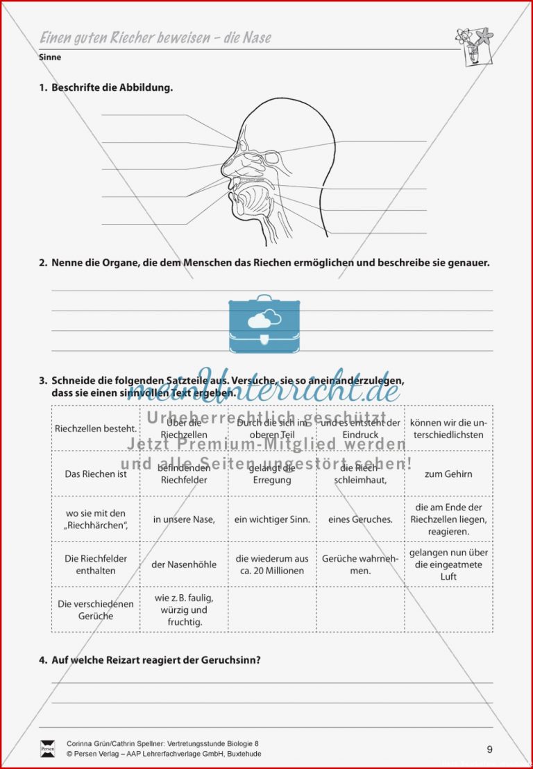 Einen Guten Riecher Beweisen Nase Meinunterricht