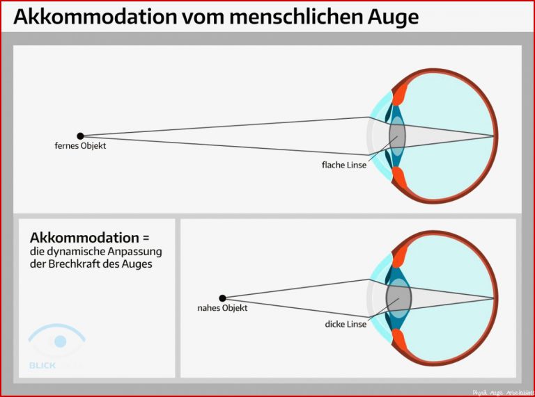 Einzigartig Das Menschliche Auge Kostenlosen Download Einzigartig Das Menschliche Auge