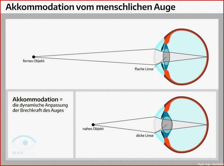 Einzigartig Das Menschliche Auge