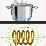 Elektromagnetische Induktion Online Lernen