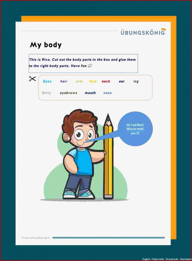 Englisch Grundschule Body Arbeitsblatt