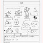 Englisch Pets Wörterbuch – Unterrichtsmaterial Im Fach