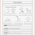 Englisch Wild Animals Wörterbuch – Unterrichtsmaterial