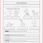 Englisch Wild Animals Wörterbuch – Unterrichtsmaterial