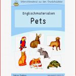 Englischmaterialien Pets Haustiere