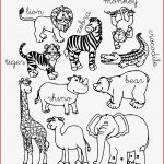 English – Animals Worksheets
