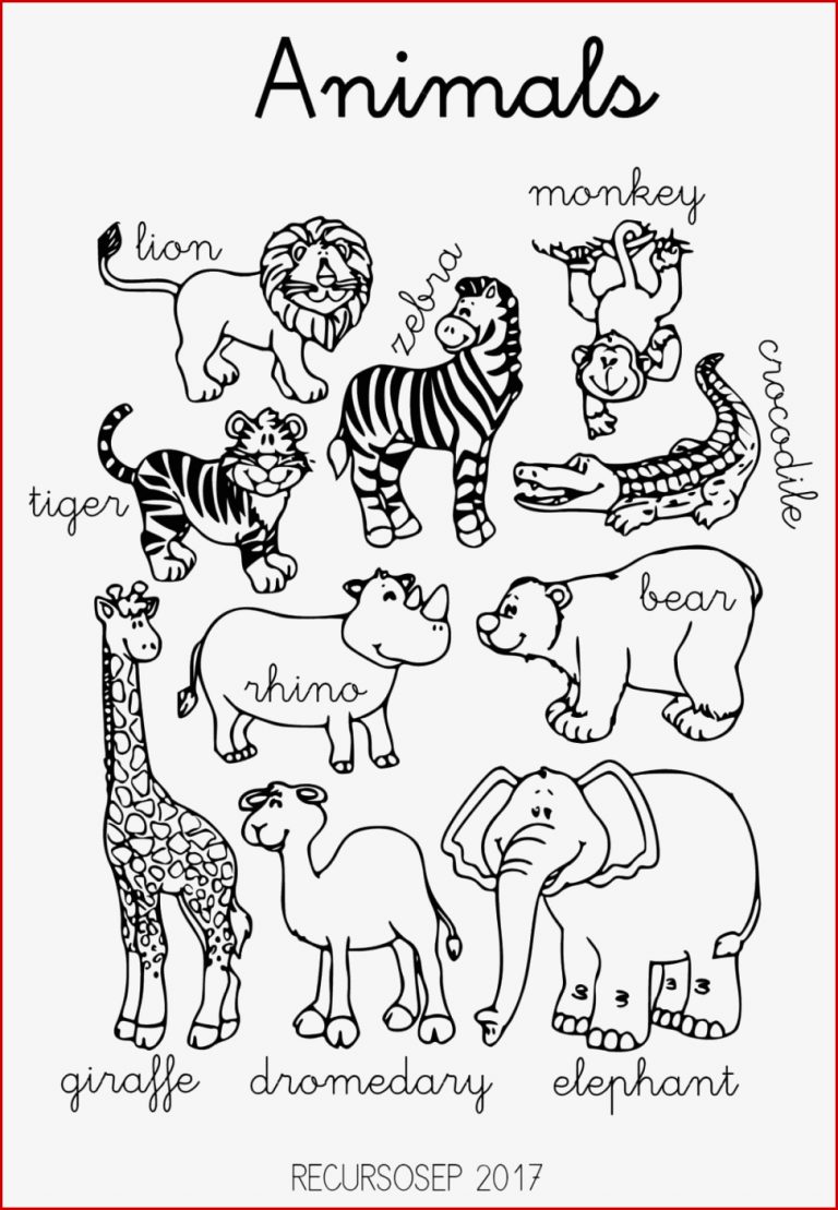 English – Animals Worksheets