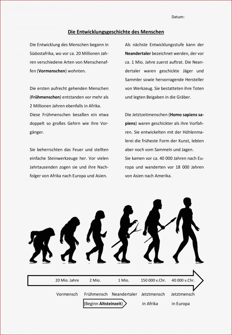 Entwicklung des menschen arbeitsblatt lösung