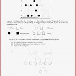 Enzyme Arbeitsblatt Klett Stephen Scheidt Schule